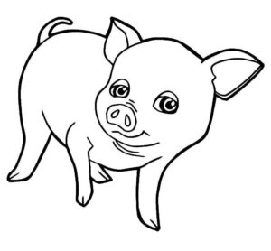 Desenho de Porco Desenho Colorir Imprimir 39