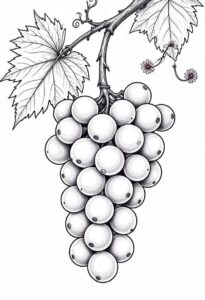 Desenho de Uva Desenho Colorir Imprimir 02