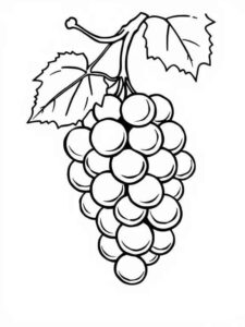 Desenho de Uva Desenho Colorir Imprimir 12