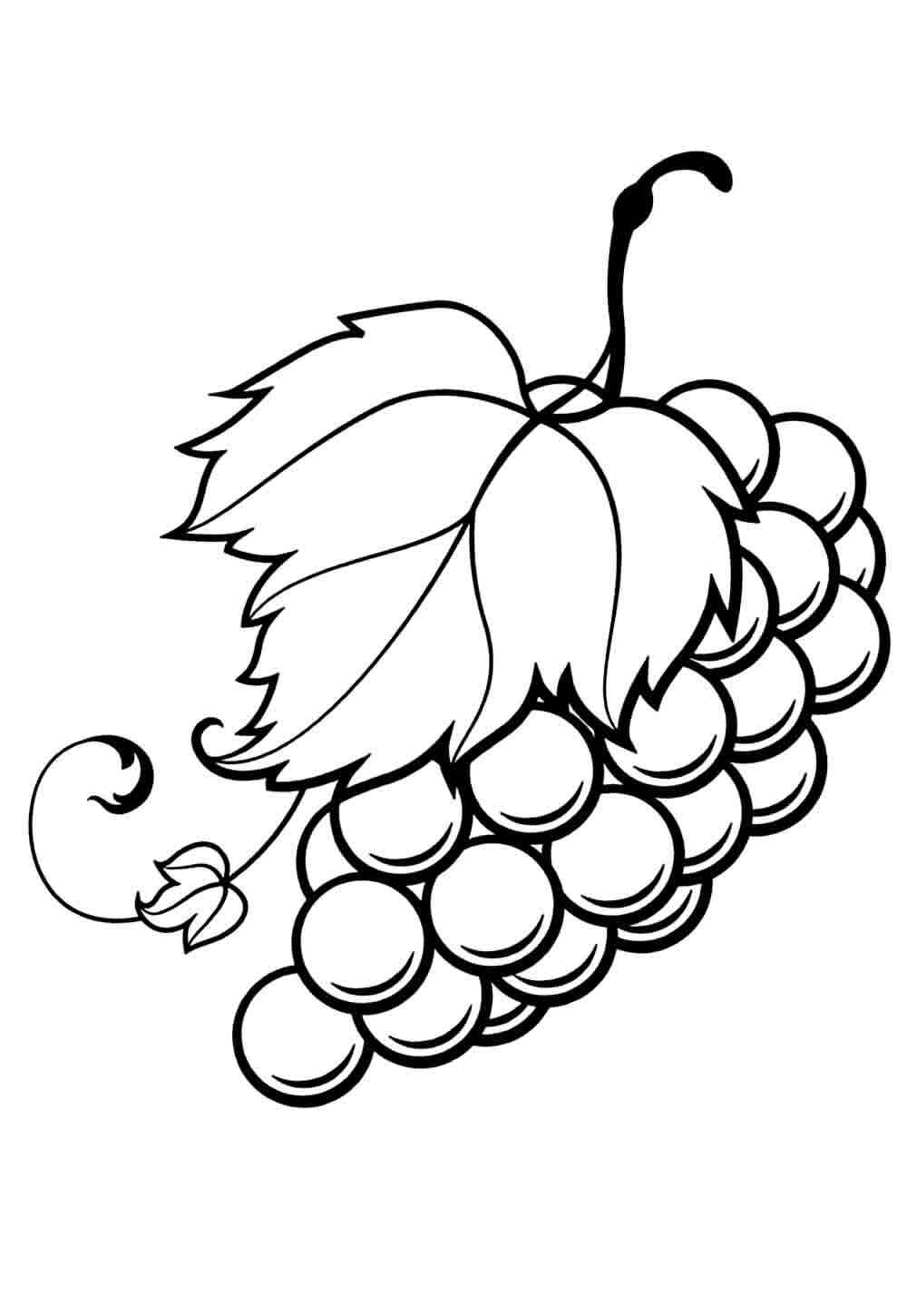 Desenho de Uva Desenho Colorir Imprimir 13