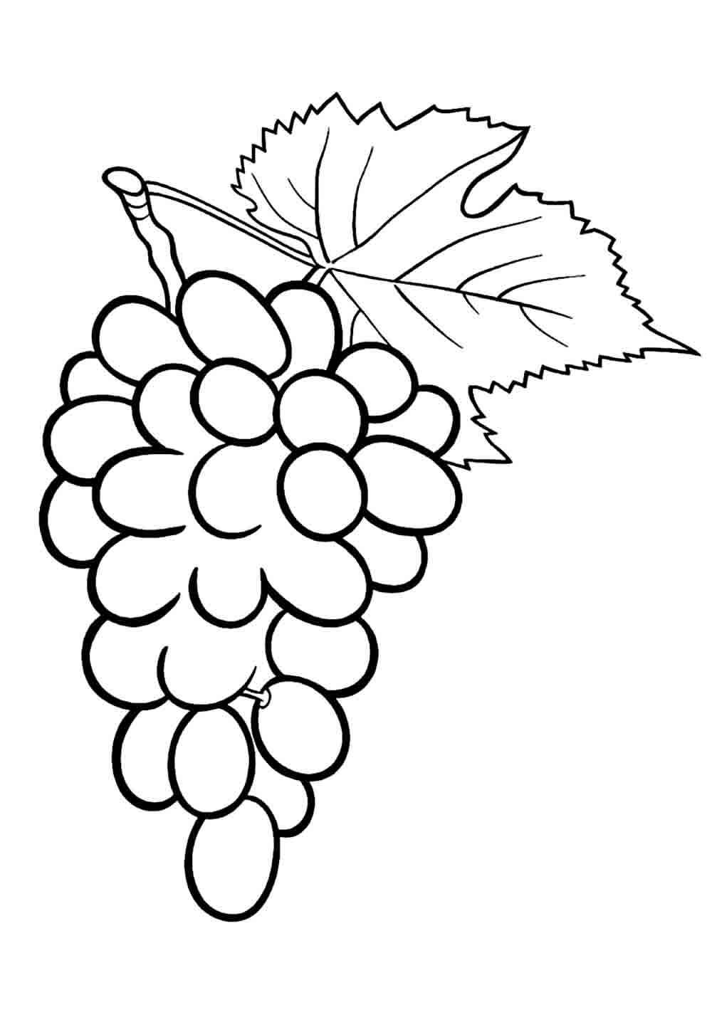 Desenho de Uva Desenho Colorir Imprimir 15