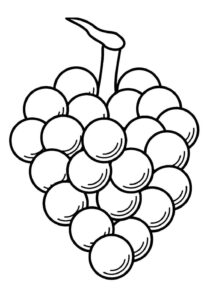 Desenho de Uva Desenho Colorir Imprimir 17