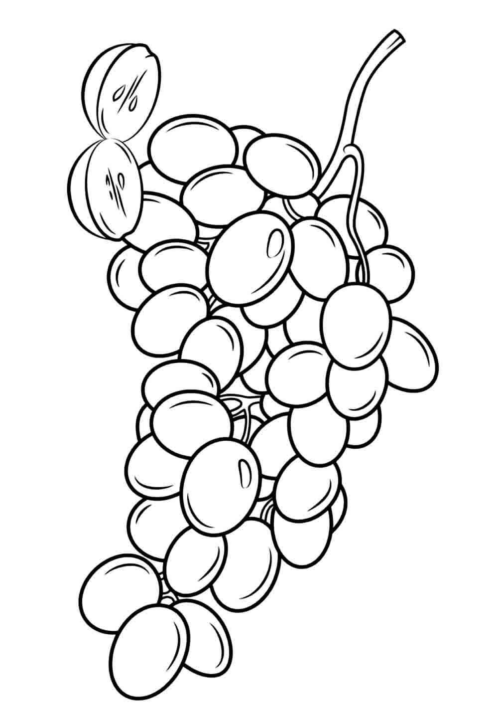 Desenho de Uva Desenho Colorir Imprimir 20
