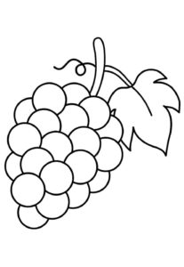Desenho de Uva Desenho Colorir Imprimir 22
