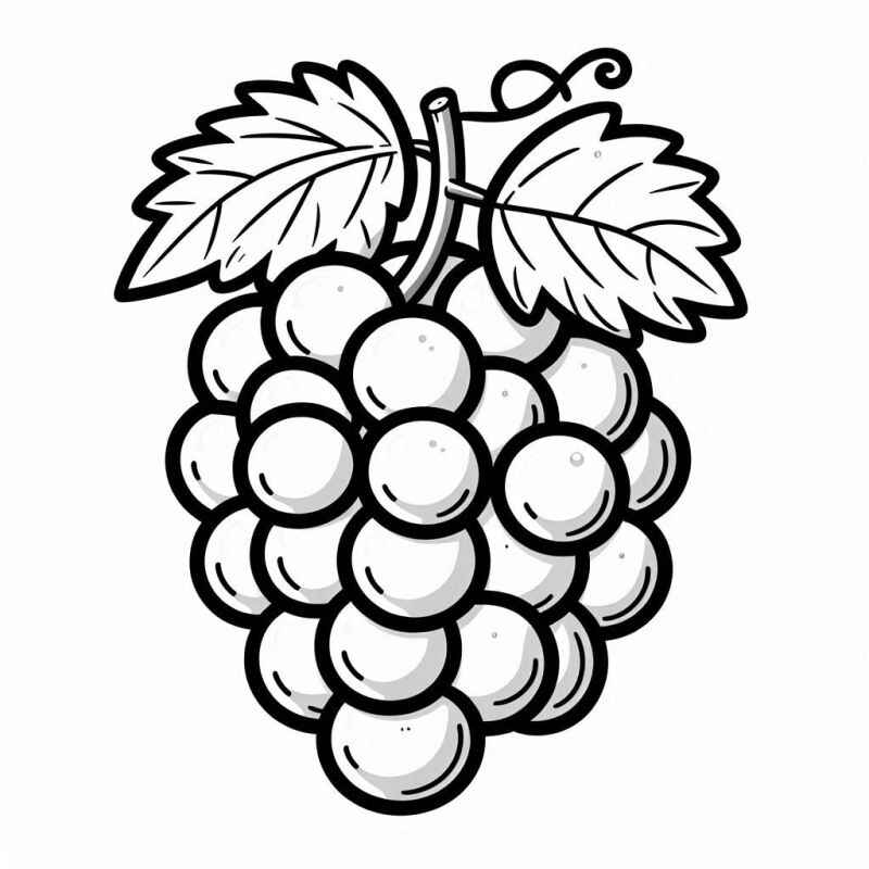 Desenho de Uva Desenho Colorir Imprimir 24