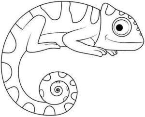 Desenho de Cameleao Desenho Colorir Imprimir 06