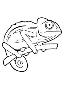 Desenho de Cameleao Desenho Colorir Imprimir 17