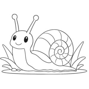 Desenho de Caracol Desenho Colorir Imprimir 04