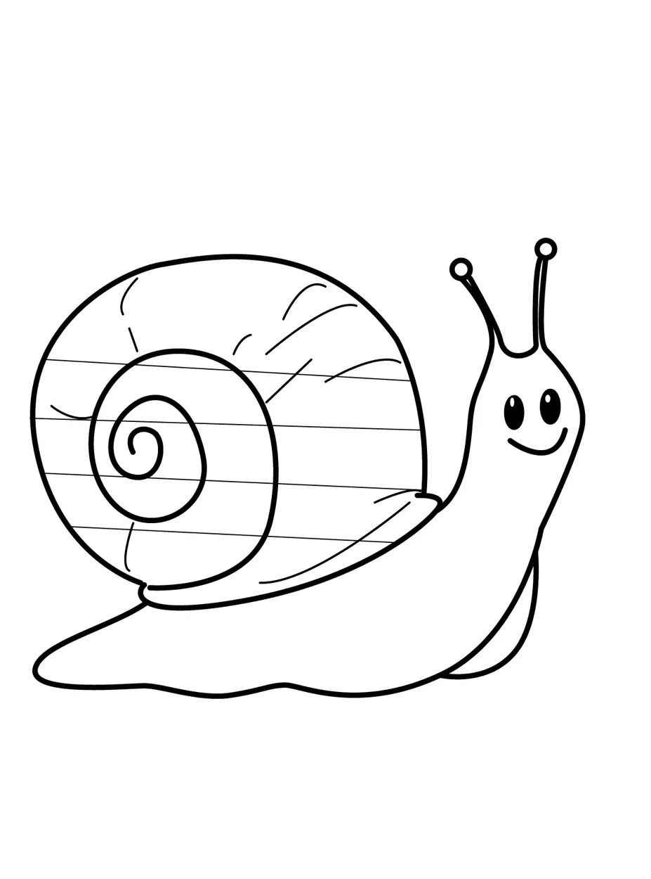Desenho de Caracol Desenho Colorir Imprimir 11