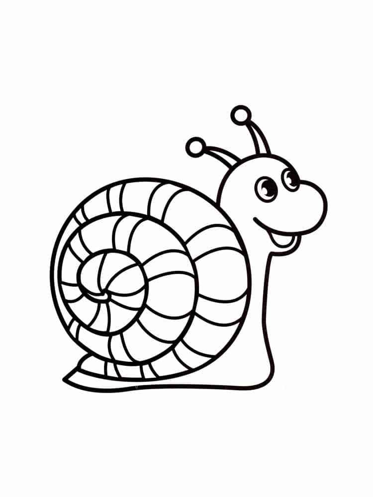 Desenho de Caracol Desenho Colorir Imprimir 13