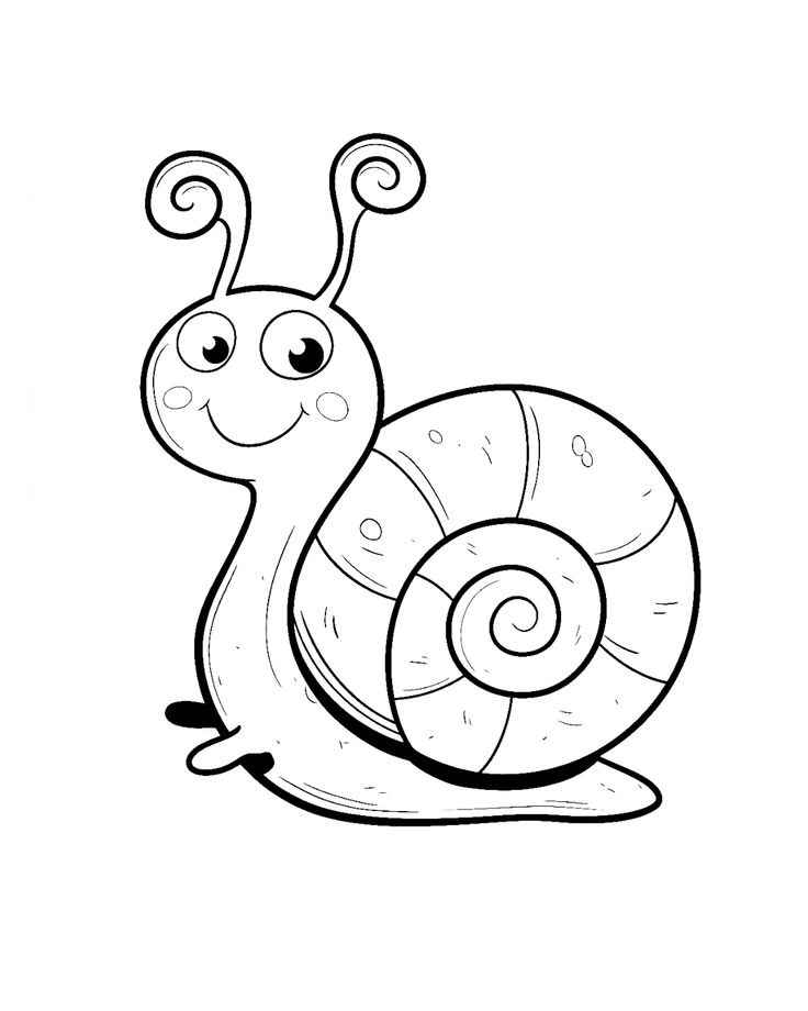 Desenho de Caracol Desenho Colorir Imprimir 20