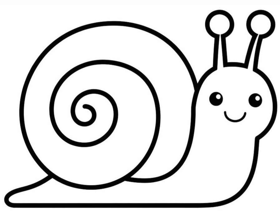 Desenho de Caracol Desenho Colorir Imprimir 21
