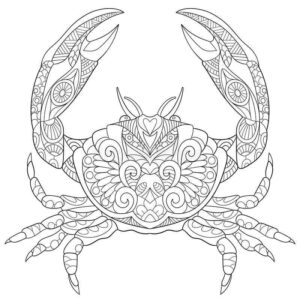 Desenho de Caranguejo Desenho Colorir Imprimir 03
