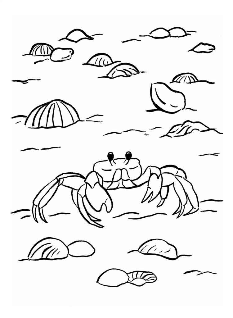 Desenho de Caranguejo Desenho Colorir Imprimir 23