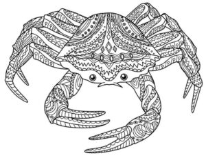 Desenho de Caranguejo Desenho Colorir Imprimir 26