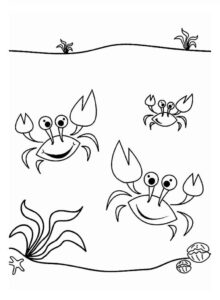 Desenho de Caranguejo Desenho Colorir Imprimir 30