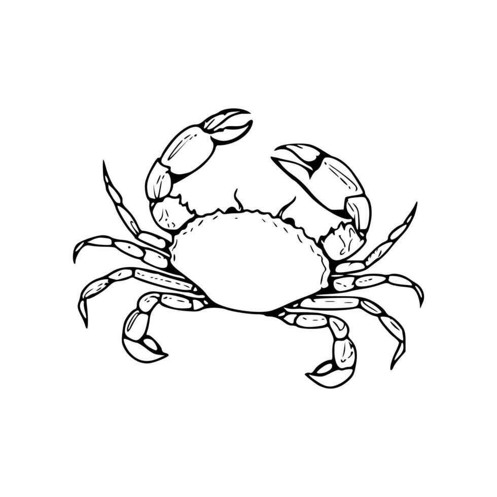 Desenho de Caranguejo Desenho Colorir Imprimir 35