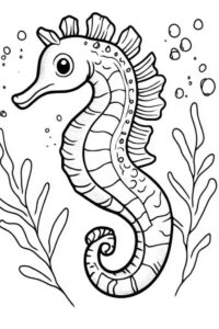 Desenho de Cavalo Marinho Desenho Colorir Imprimir 16