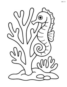 Desenho de Cavalo Marinho Desenho Colorir Imprimir 25