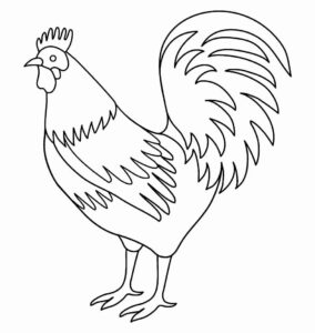 Desenho de Galo Desenho Colorir Imprimir 07