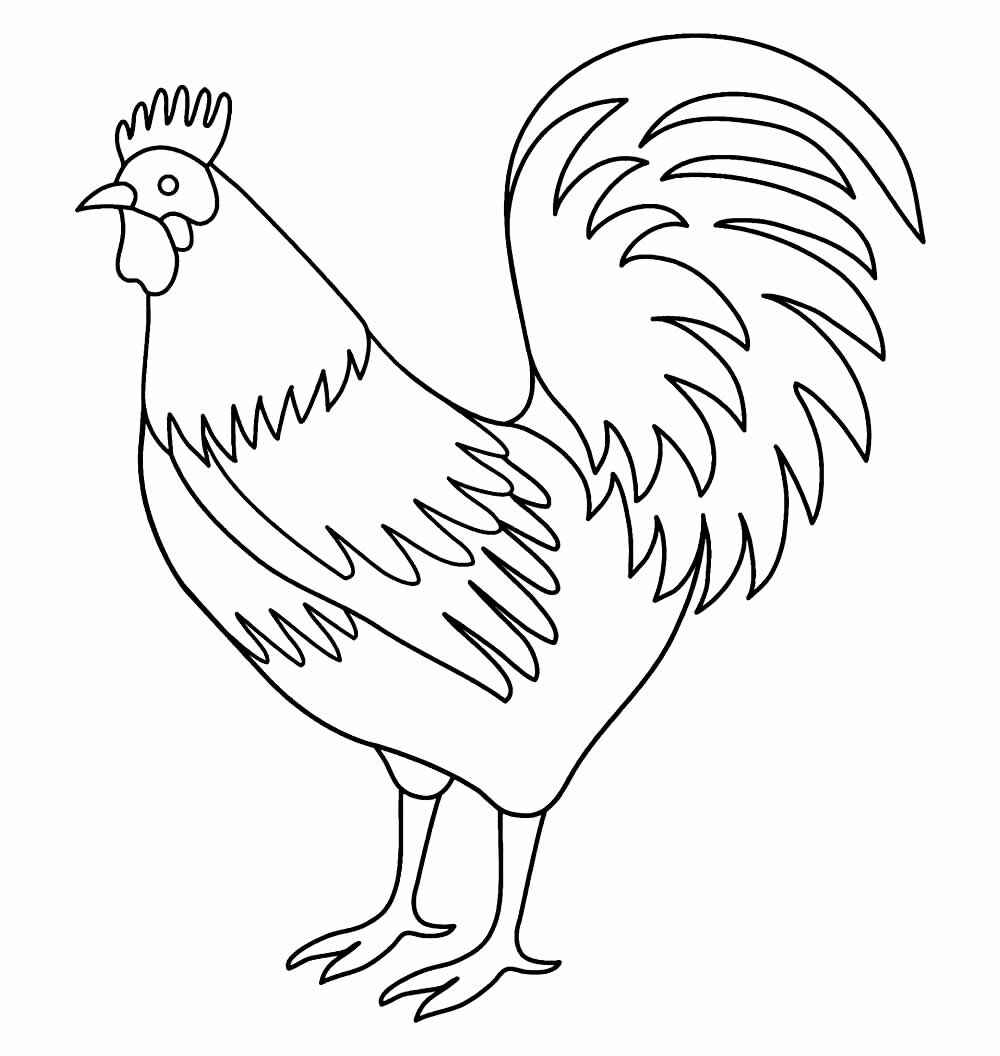 Desenho de Galo Desenho Colorir Imprimir 07