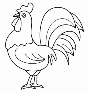 Desenho de Galo Desenho Colorir Imprimir 08