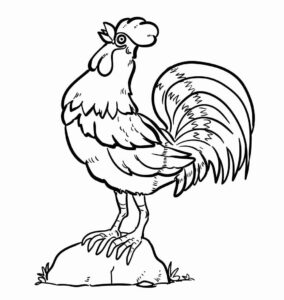 Desenho de Galo Desenho Colorir Imprimir 10