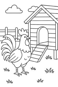 Desenho de Galo Desenho Colorir Imprimir 22