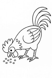 Desenho de Galo Desenho Colorir Imprimir 26