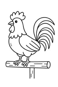 Desenho de Galo Desenho Colorir Imprimir 28