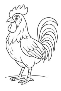 Desenho de Galo Desenho Colorir Imprimir 31