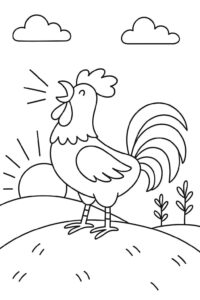 Desenho de Galo Desenho Colorir Imprimir 33