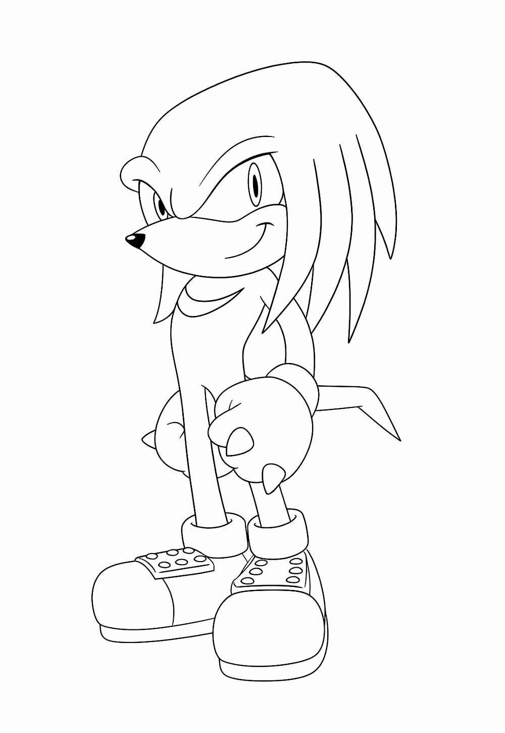 Desenho de Knuckles Desenho Colorir Imprimir 20