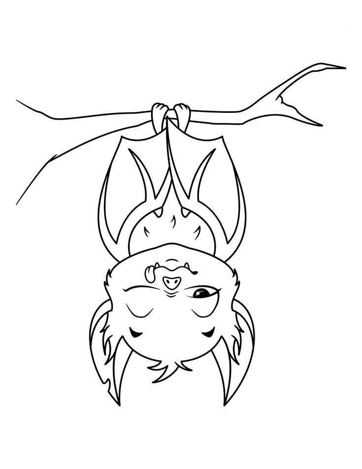 Desenho de Morcego Desenho Colorir Imprimir 01