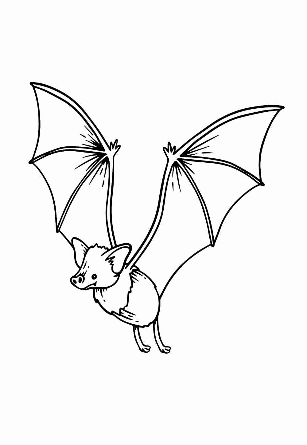 Desenho de Morcego Desenho Colorir Imprimir 20