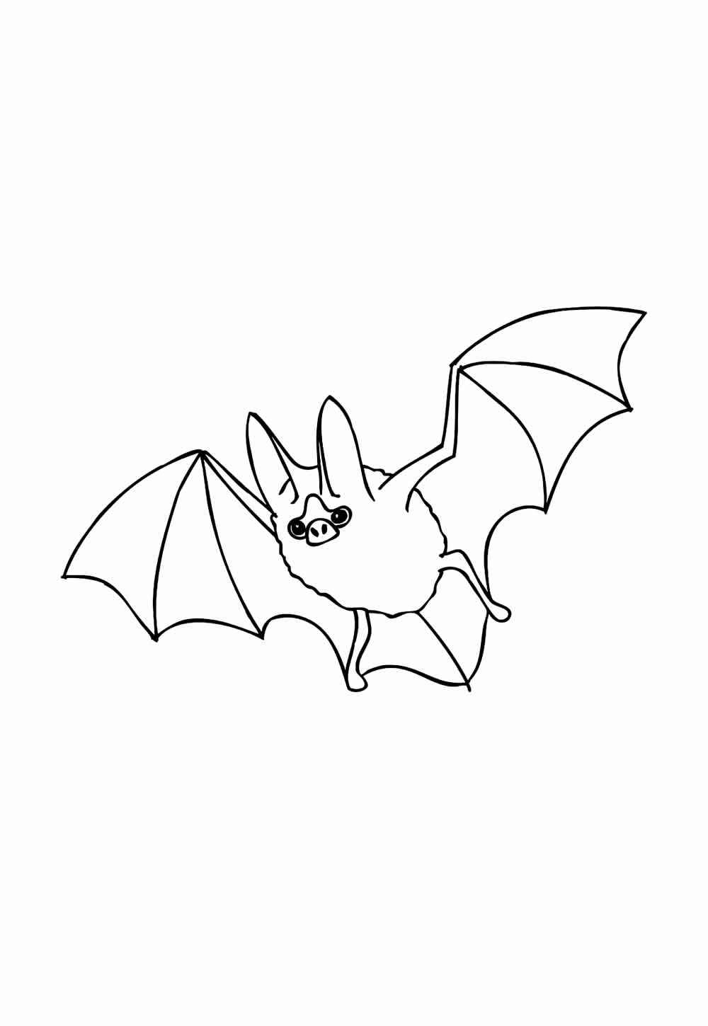 Desenho de Morcego Desenho Colorir Imprimir 22