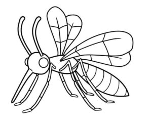 Desenho de Mosquito Da Dengue Desenho Colorir Imprimir 01