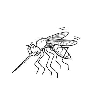 Desenho de Mosquito Da Dengue Desenho Colorir Imprimir 12