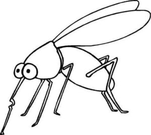Desenho de Mosquito Da Dengue Desenho Colorir Imprimir 14