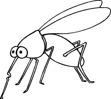 Desenho de Mosquito Da Dengue Desenho Colorir Imprimir 14