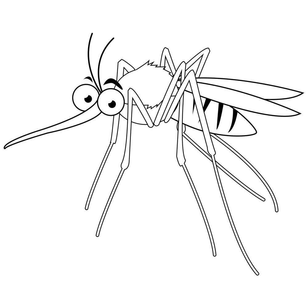 Desenho de Mosquito Da Dengue Desenho Colorir Imprimir 15