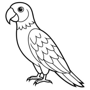 Desenho de Papagaio Desenho Colorir Imprimir 04