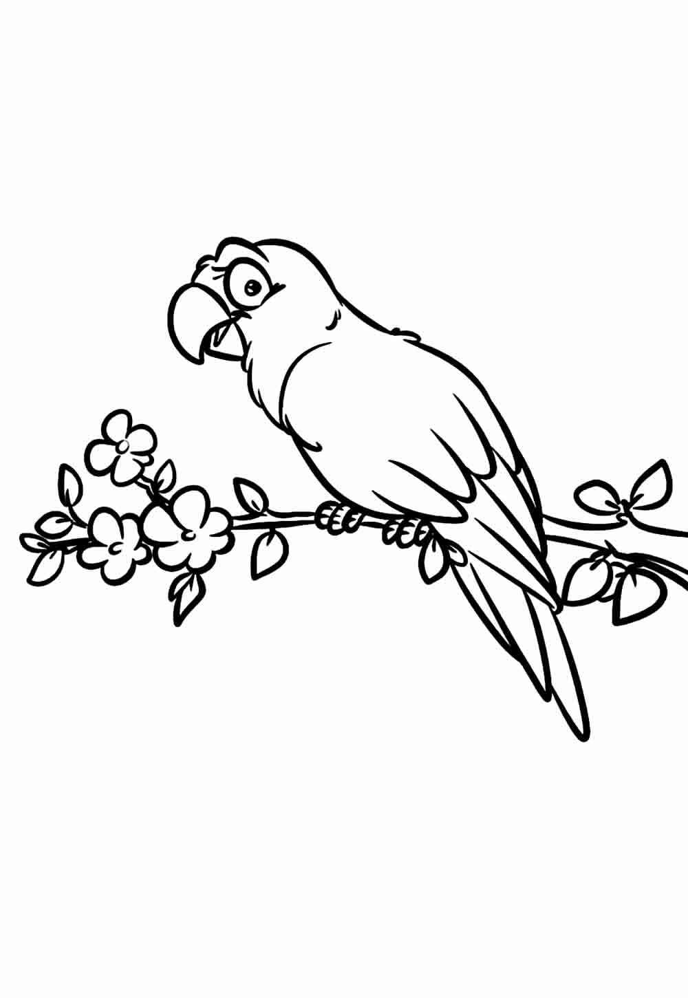 Desenho de Papagaio Desenho Colorir Imprimir 08