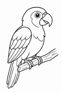 Desenho de Papagaio Desenho Colorir Imprimir 10