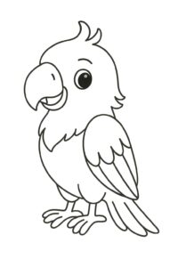 Desenho de Papagaio Desenho Colorir Imprimir 11