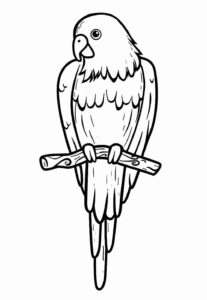 Desenho de Papagaio Desenho Colorir Imprimir 12
