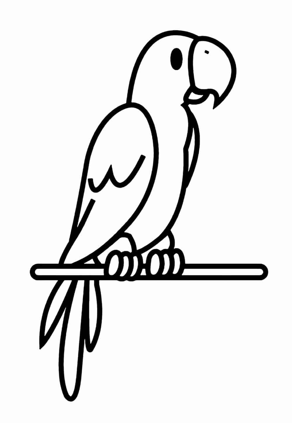 Desenho de Papagaio Desenho Colorir Imprimir 16