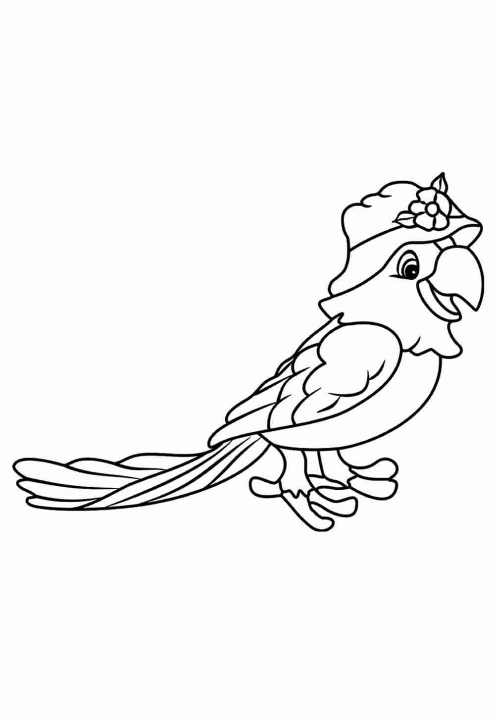 Desenho de Papagaio Desenho Colorir Imprimir 17