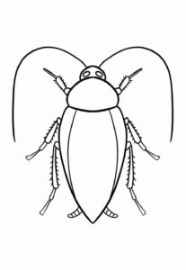 Desenho de Barata Desenho Colorir Imprimir 08