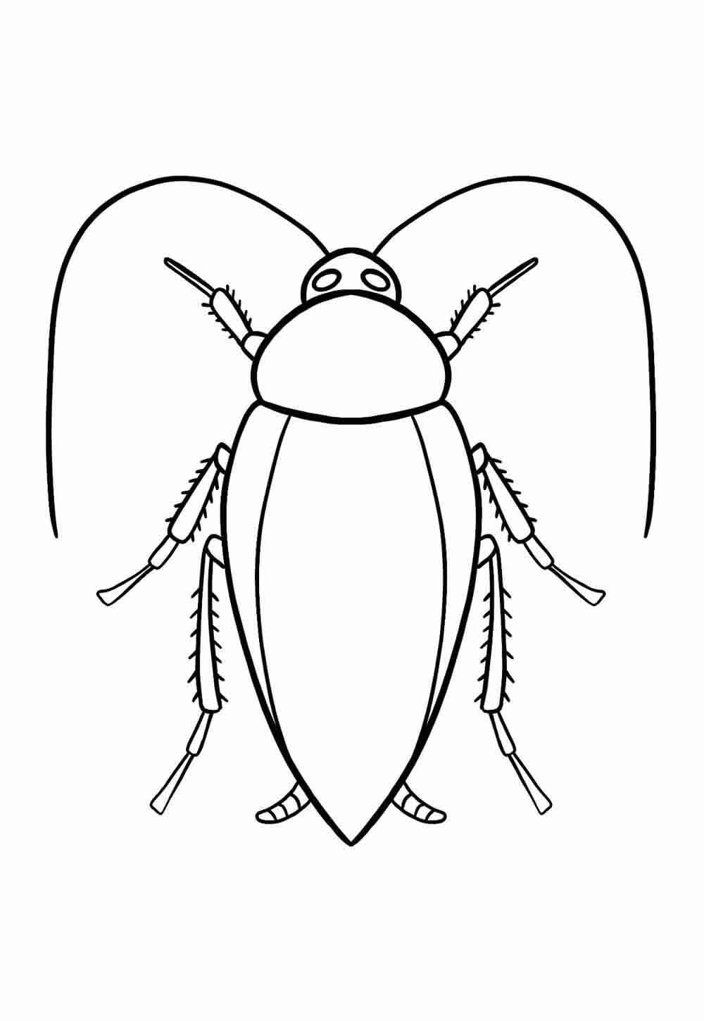 Desenho de Barata Desenho Colorir Imprimir 08